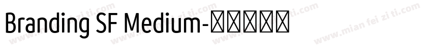 Branding SF Medium字体转换